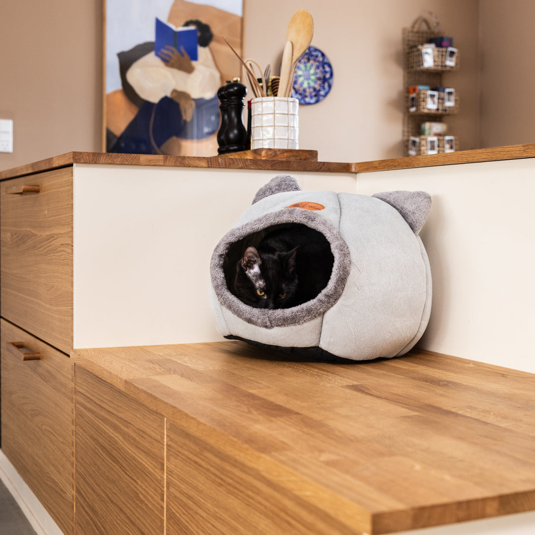 PawPassion CozyCave
